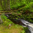 Idyllischer Bach