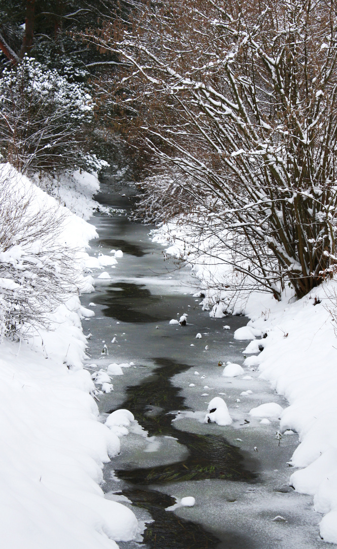 Idyllischer Bachlauf