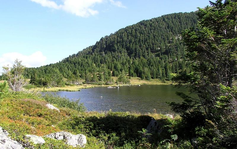 Idyllischer Bergsee (Steiermark)