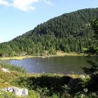 Idyllischer Bergsee (Steiermark)