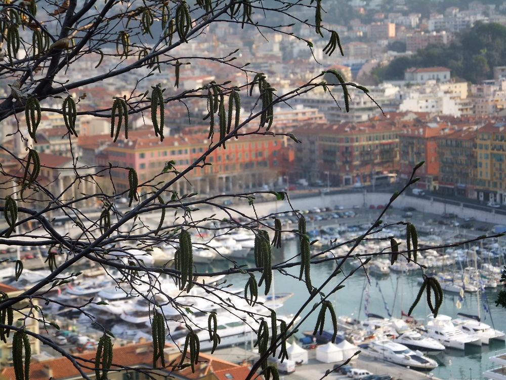 Idyllischer Blick auf Nizza