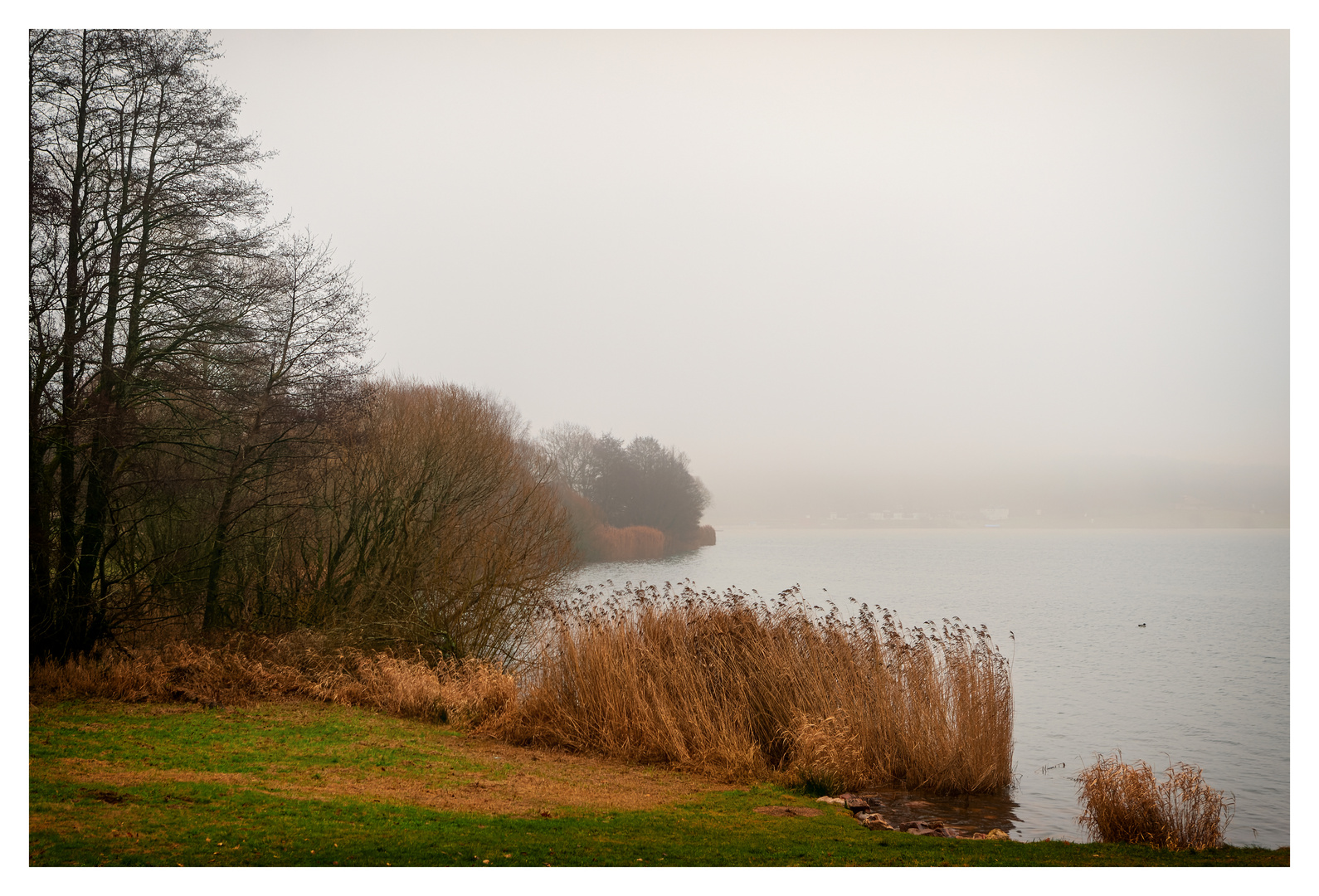 Idyllischer Bostalsee 2