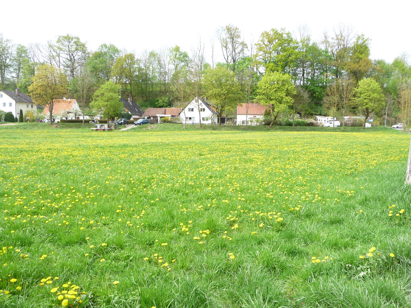 Idyllischer Dorf-Frühling