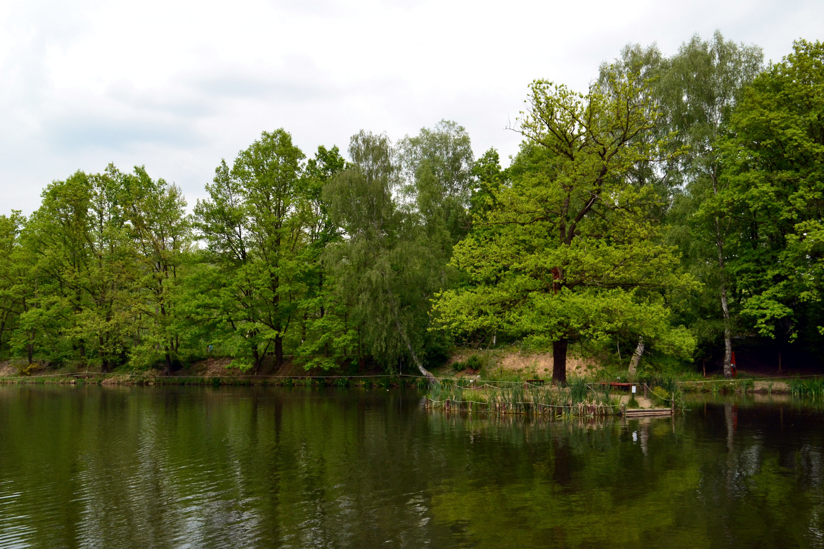 Idyllischer Floßteich