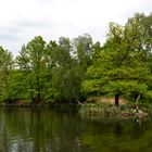 Idyllischer Floßteich