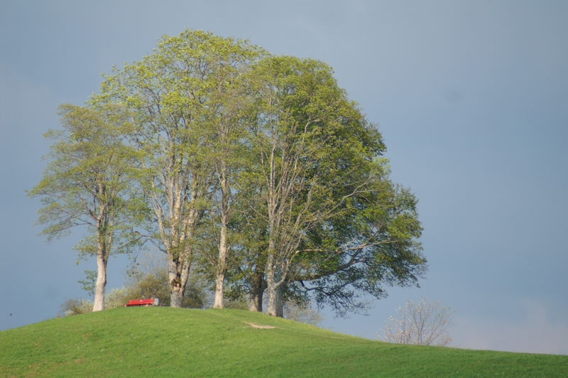 Idyllischer Frühling