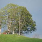 Idyllischer Frühling