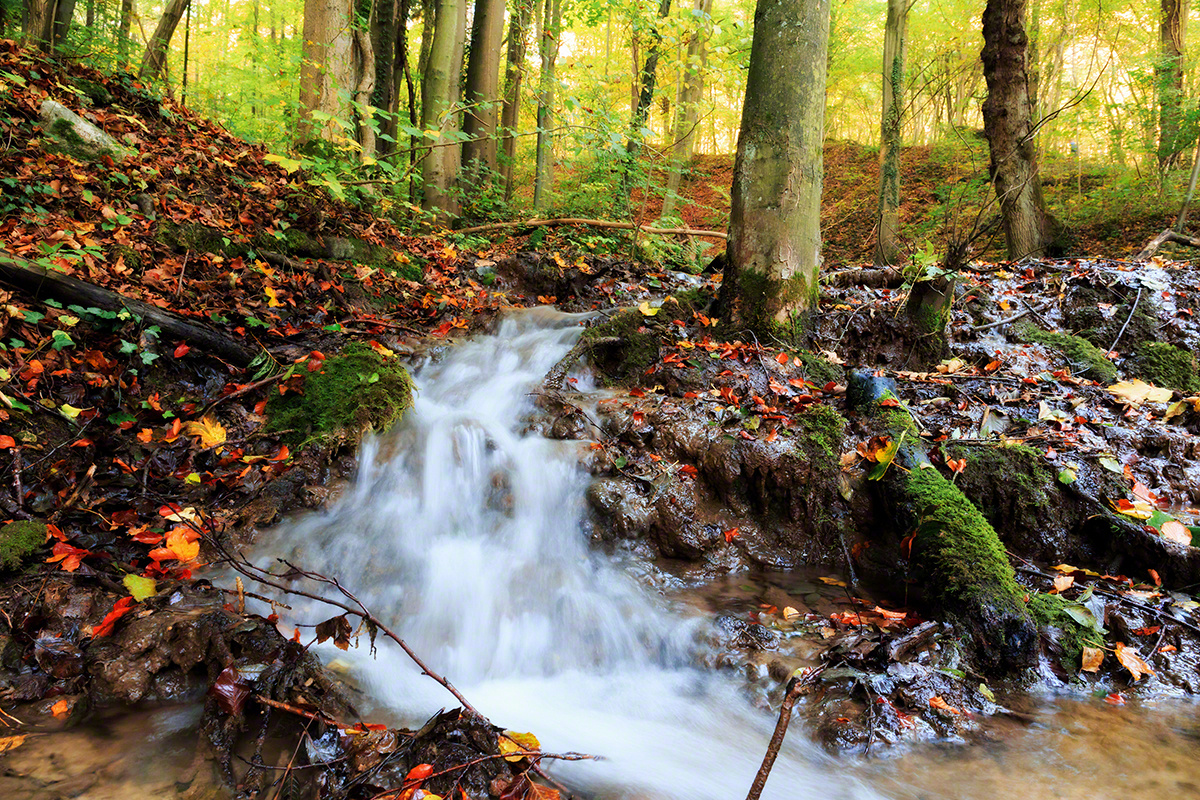 Idyllischer Herbstbach