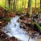 Idyllischer Herbstbach