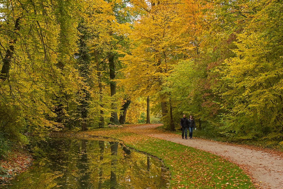 idyllischer Herbstspaziergang