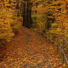 Idyllischer Herbstweg