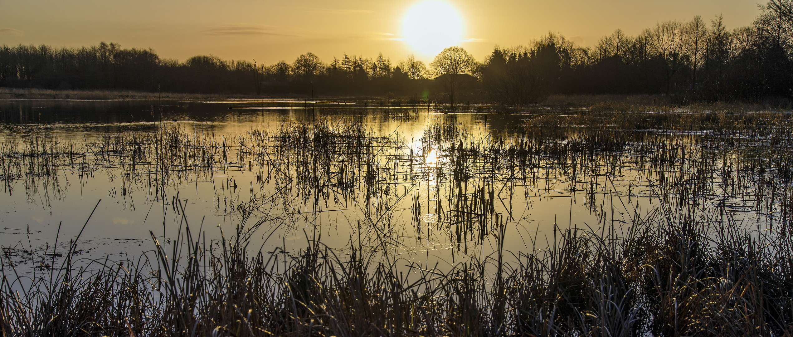 Idyllischer Morgen