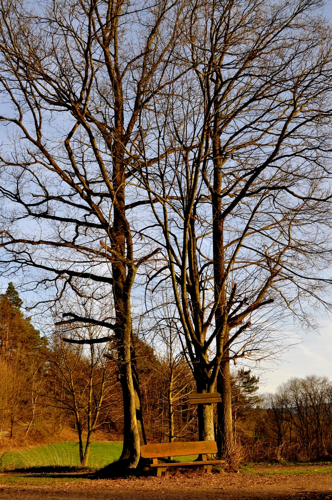 Idyllischer Rastplatz in der Abendsonne