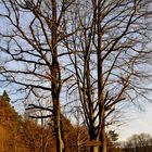 Idyllischer Rastplatz in der Abendsonne