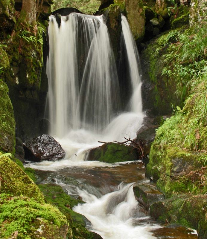 Idyllischer Schwarzwald 2