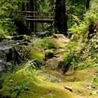 Idyllischer Schwarzwald