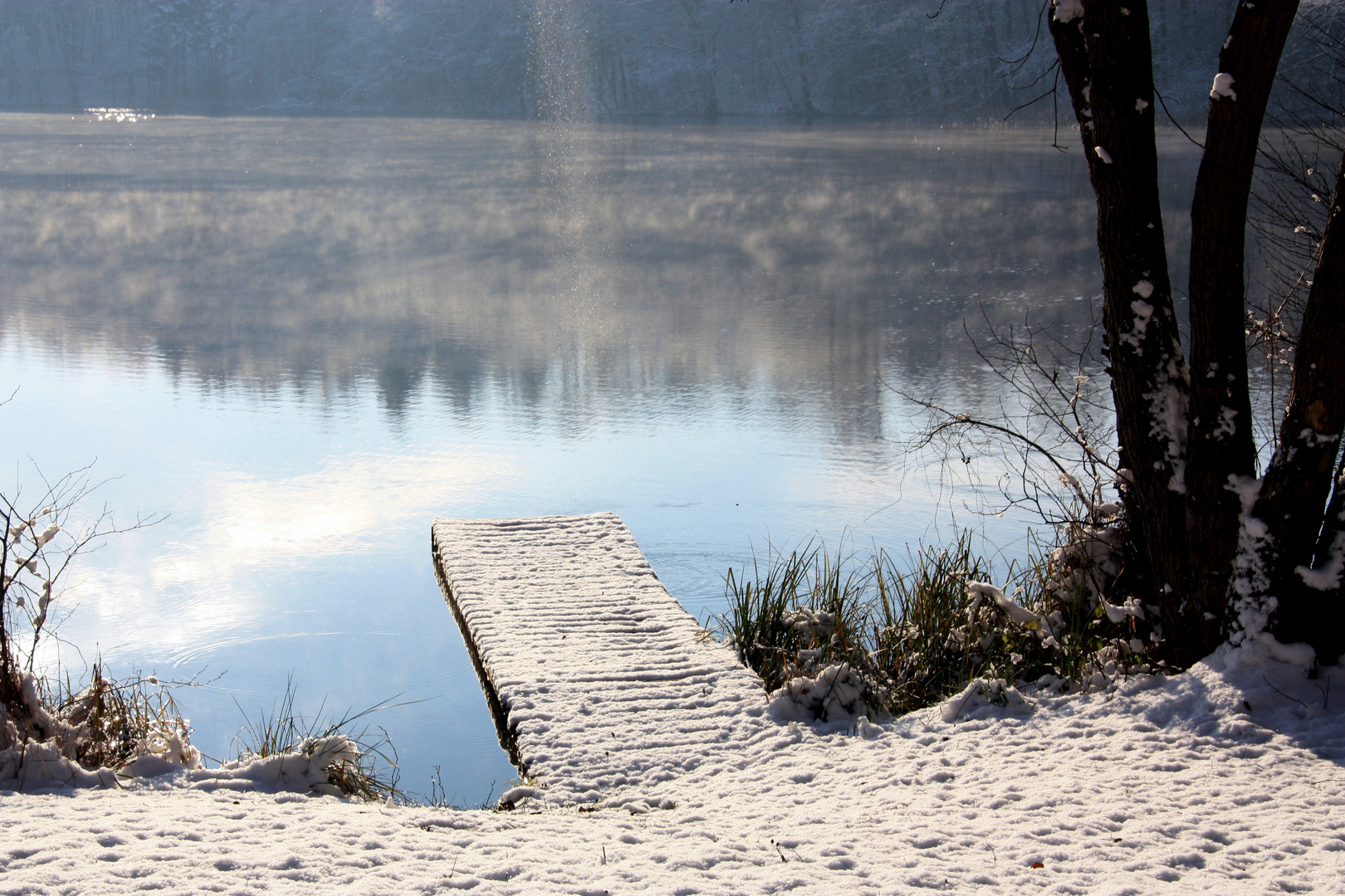 Idyllischer See im Wald