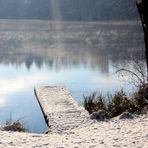 Idyllischer See im Wald