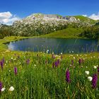 Idyllischer Seebergsee