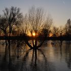 Idyllischer Sonnenuntergang bei Hochwasser