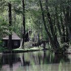 idyllischer Spreewald