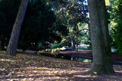 Idyllischer Stadtpark im Herbst