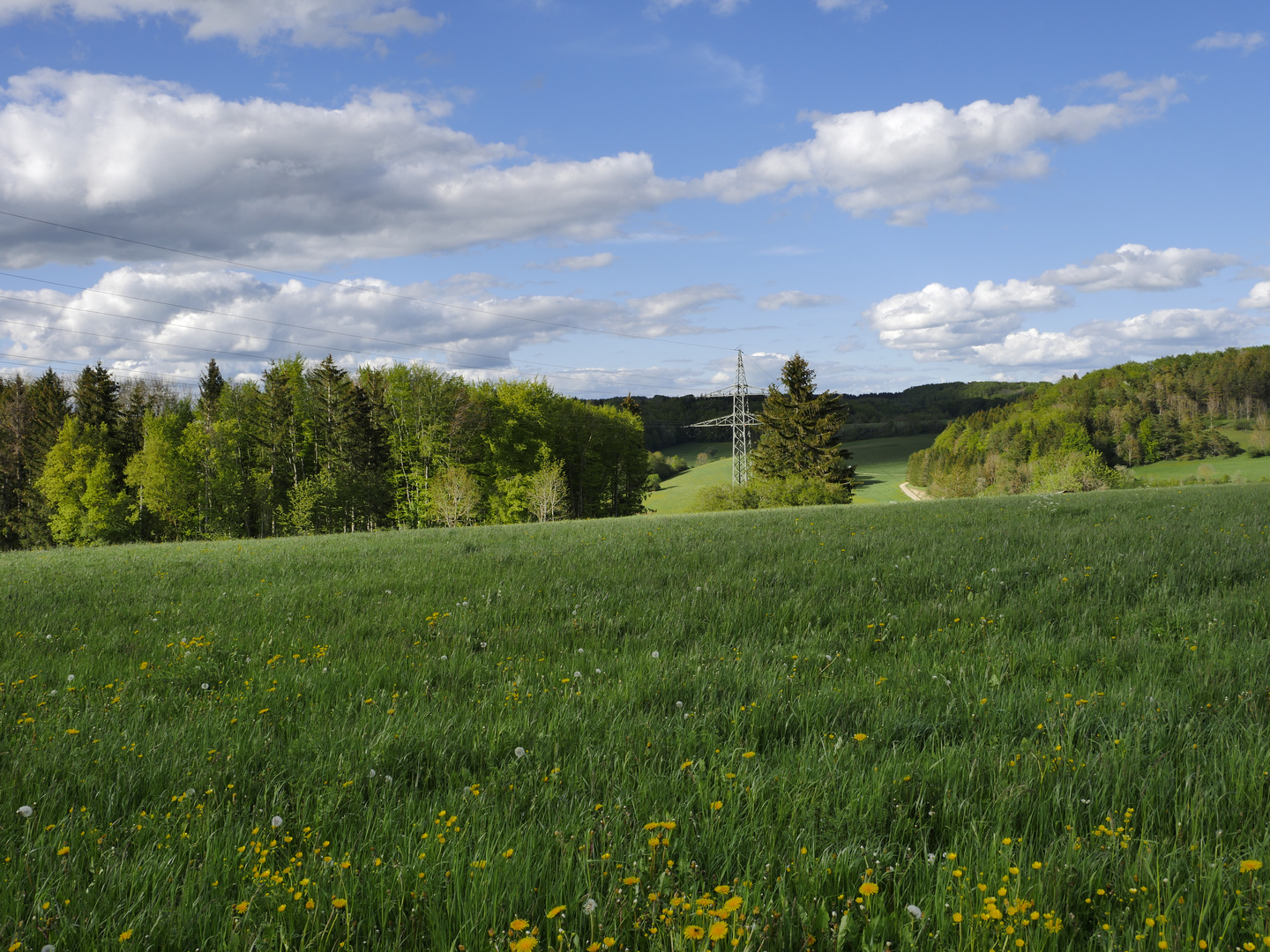 Idyllischer Strommast