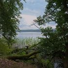 idyllischer Tollensesee