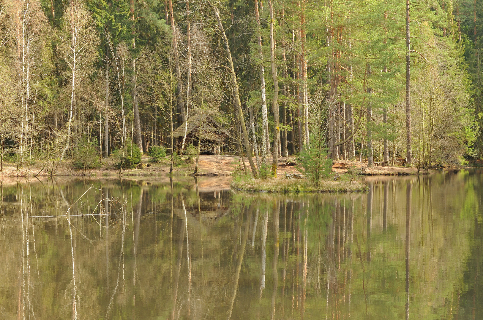 Idyllischer Waldsee