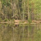 Idyllischer Waldsee