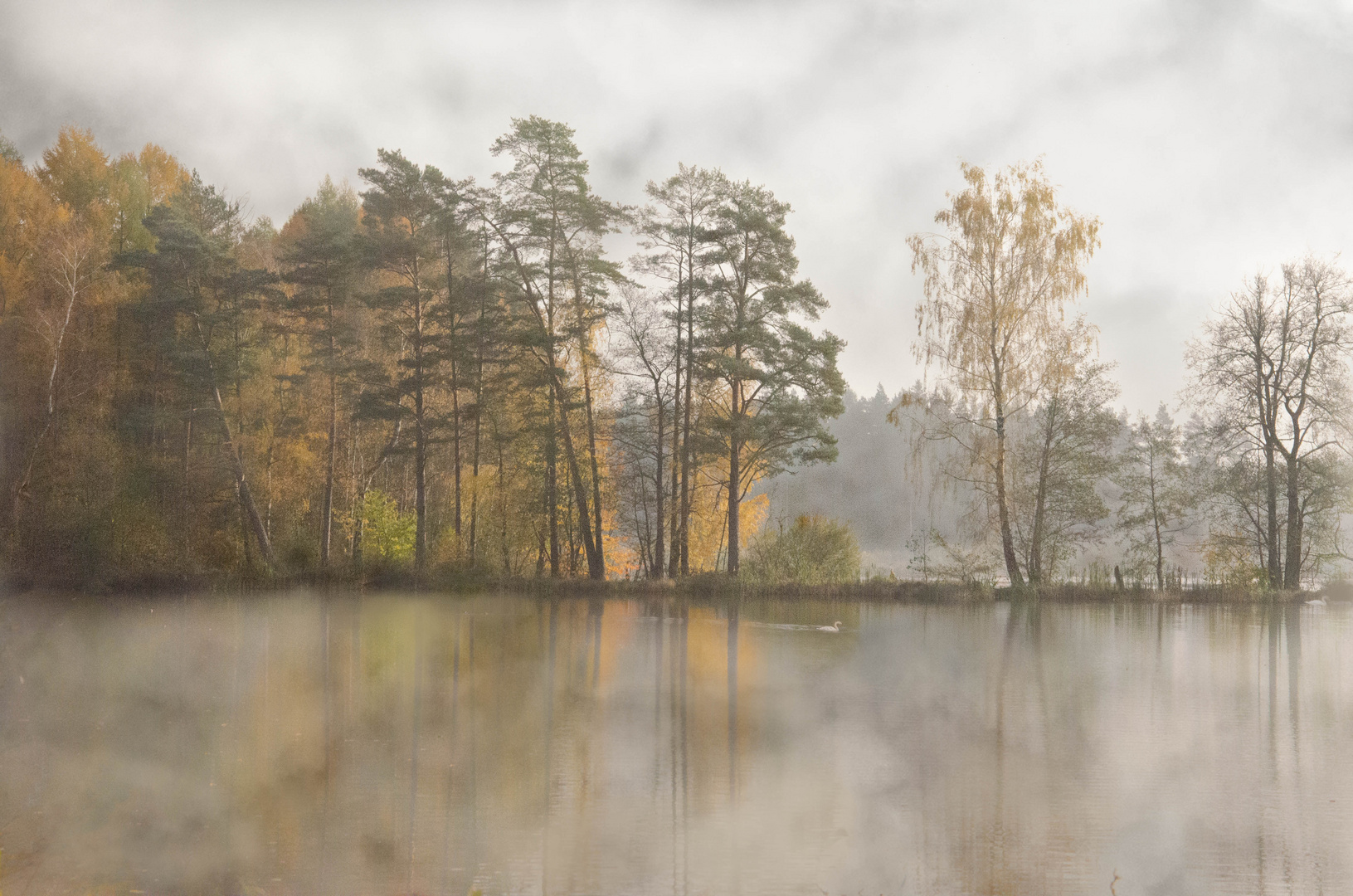 idyllischer Waldsee in der Oberpfalz