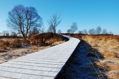 Idyllischer Weg