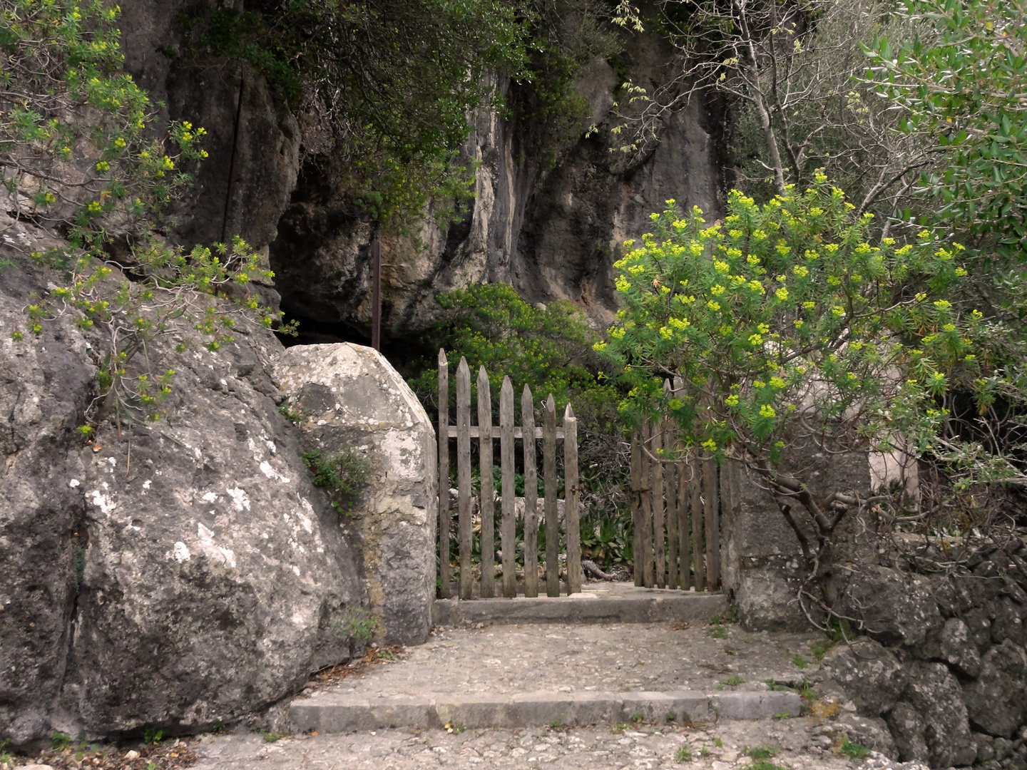 Idyllischer Weg beim Kloster Lluc (Mallorca)