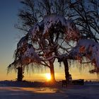 Idyllischer Winterabend bei Sonnenuntergang