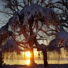 Idyllischer Winterabend bei Sonnenuntergang