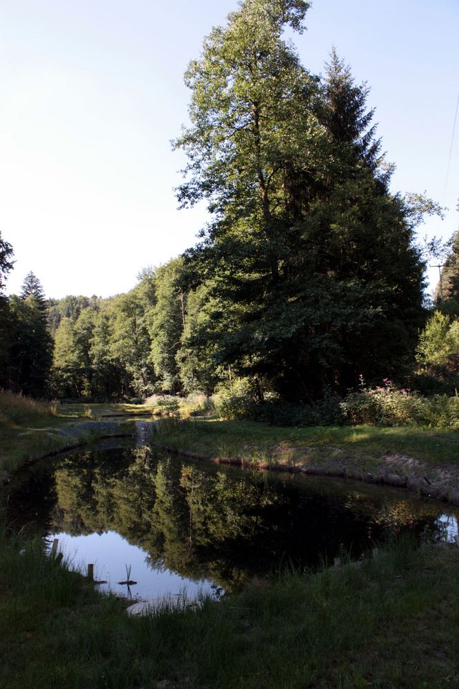 idyllischer Zeitzgrund