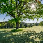 Idyllisches Bayern