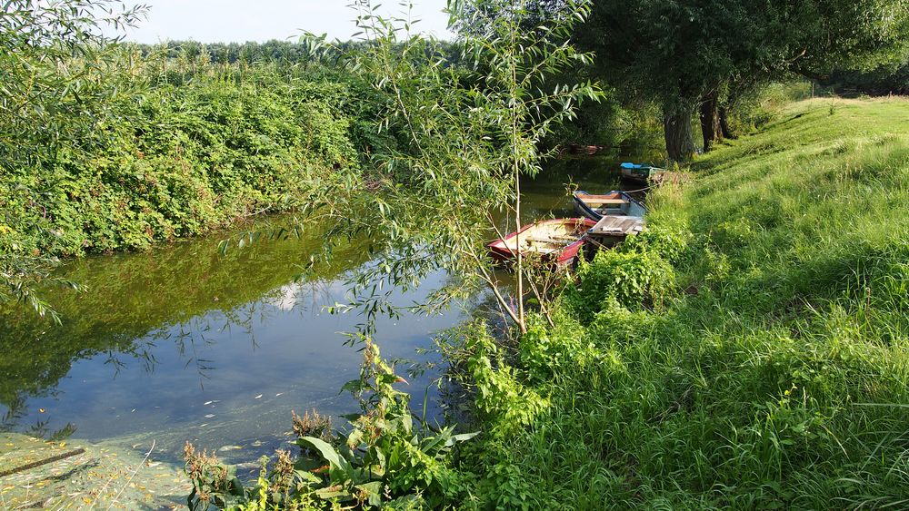 Idyllisches Finkenwerder