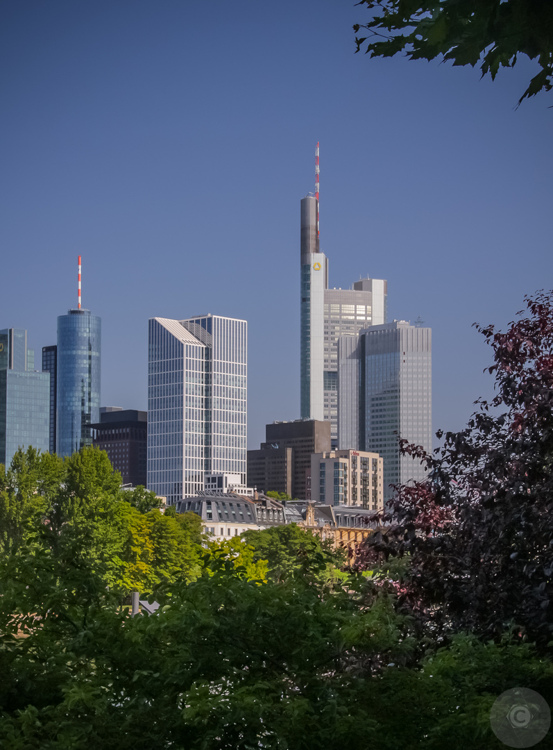 Idyllisches Frankfurt