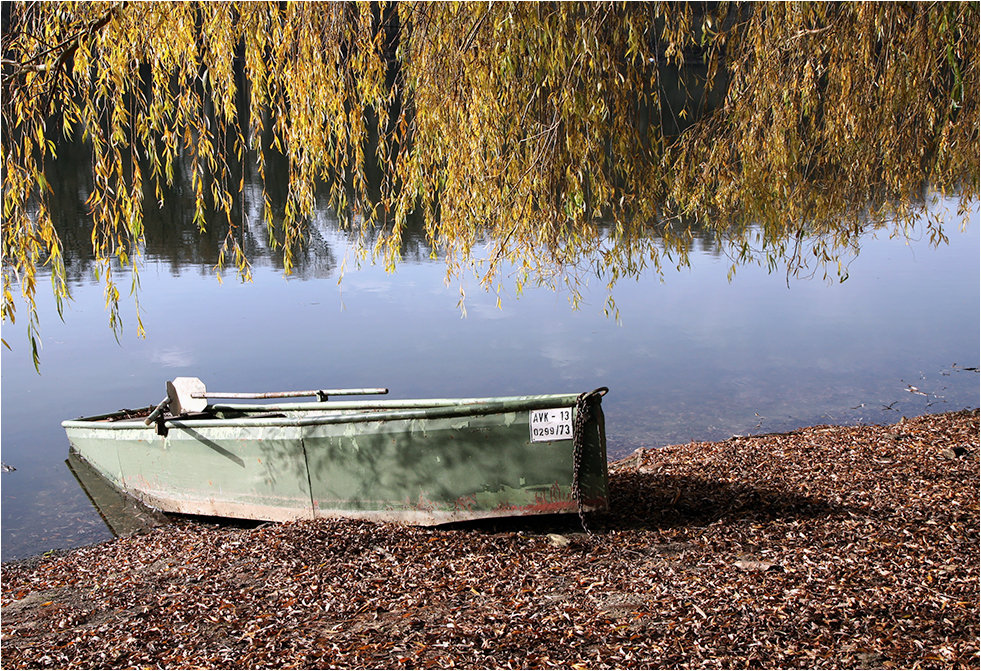 Idyllisches Frühlingserwachen