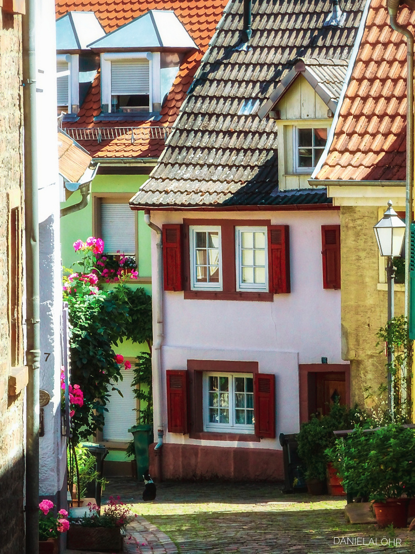 "Idyllisches Gässchen in Neckargemünd."