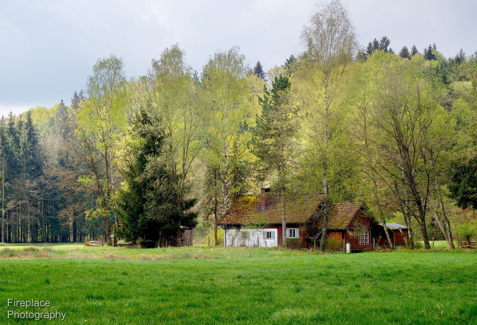 Idyllisches Haus am Waldrand