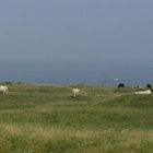 idyllisches Helgoland