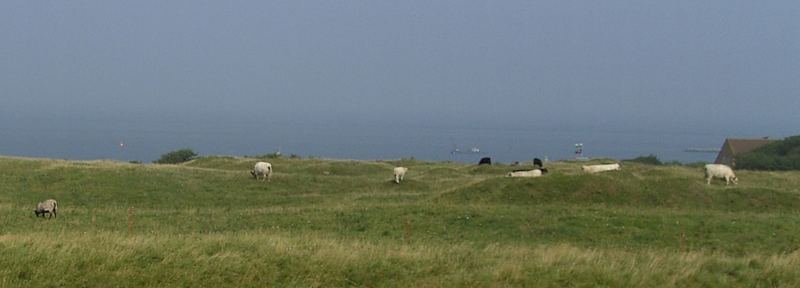 idyllisches Helgoland