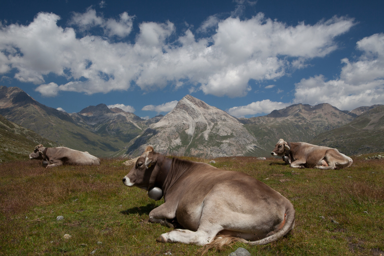 Idyllisches Landleben im Engadin