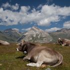 Idyllisches Landleben im Engadin