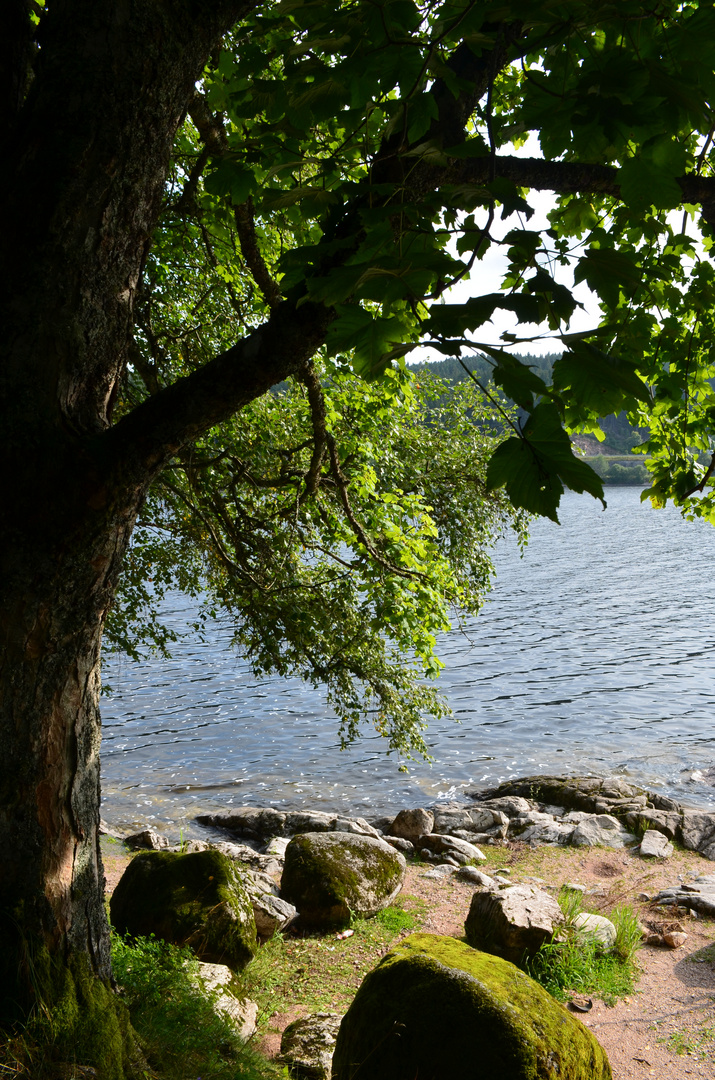 Idyllisches Plätzchen