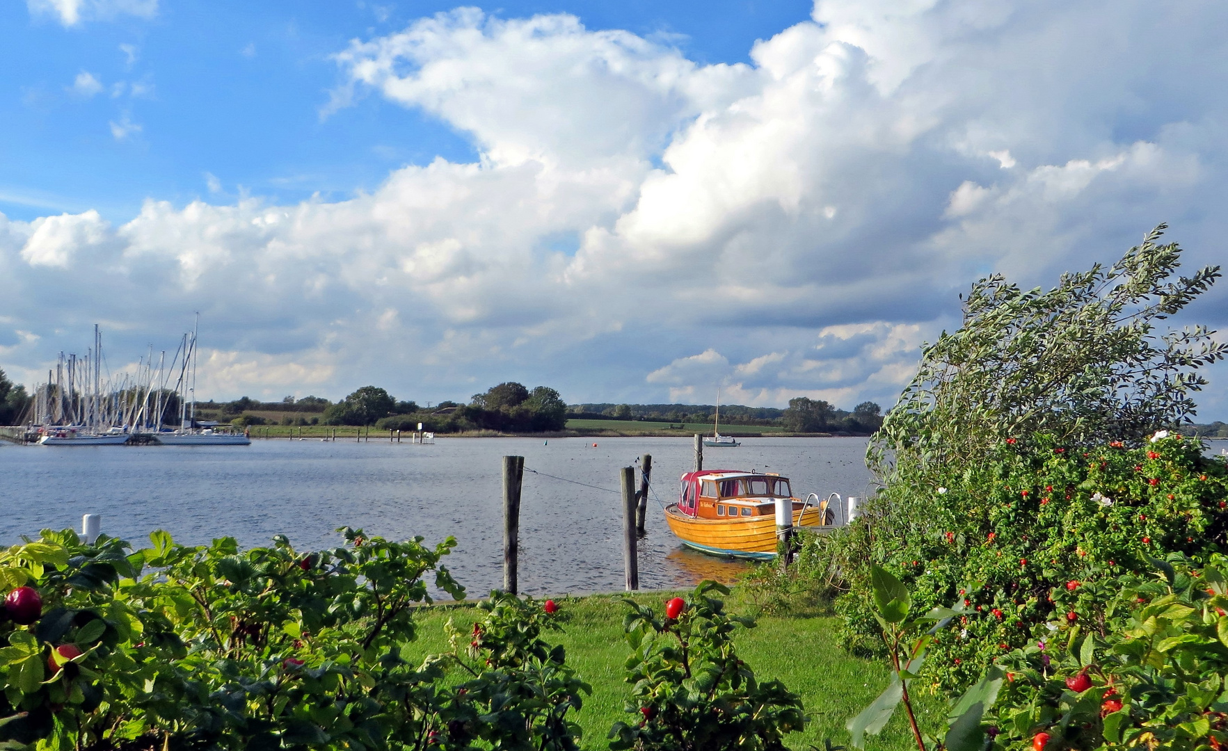 Idyllisches Plätzchen an der Schlei