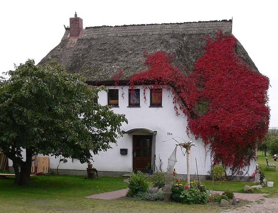 Idyllisches Reetdachhaus.....