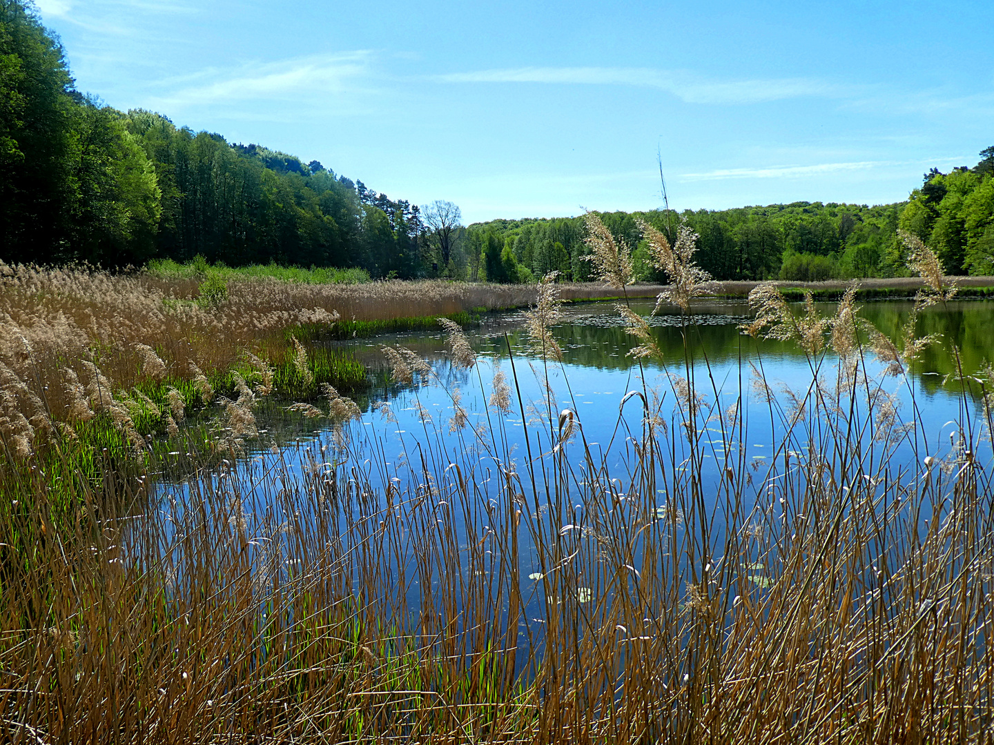 idyllisches Schlaubetal